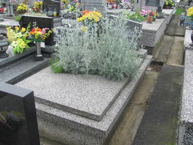 Grób Emilia Stupińska