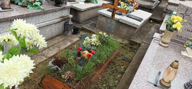 Grób Józef Dziedzic