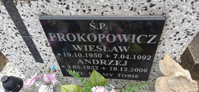 Andrzej Prokopowicz 1952 Oświęcim - Grobonet - Wyszukiwarka osób pochowanych