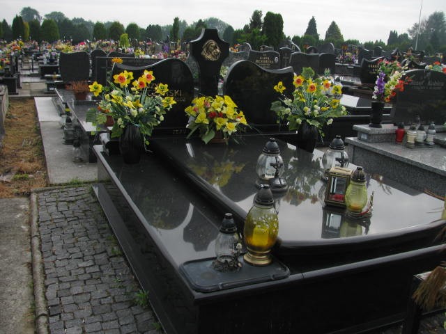 Grób Alojzy Leszczyński