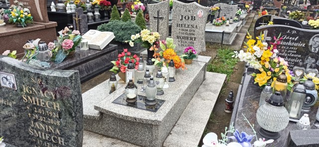 Robert Job 1970 Oświęcim - Grobonet - Wyszukiwarka osób pochowanych