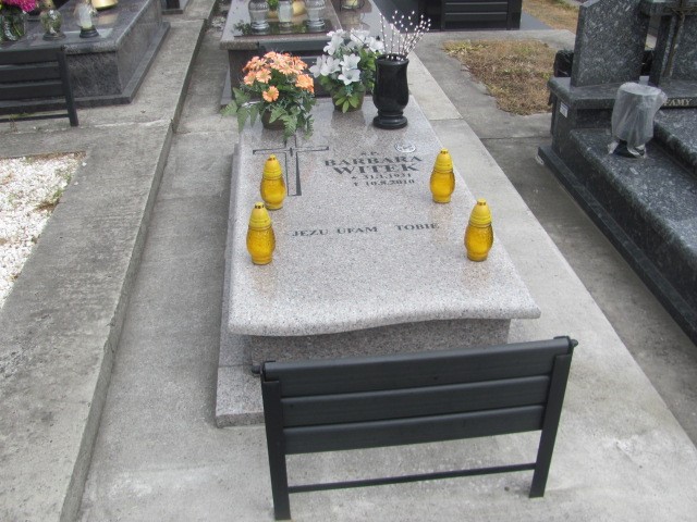 Grób Józef Witek