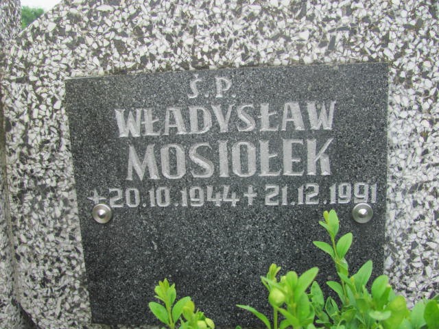 Władysław Mosiołek 1944 Oświęcim - Grobonet - Wyszukiwarka osób pochowanych