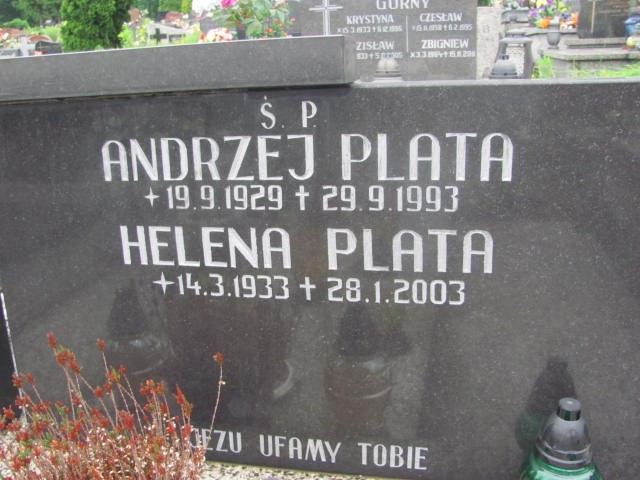 Andrzej Plata 1929 Oświęcim - Grobonet - Wyszukiwarka osób pochowanych