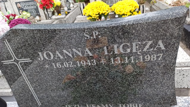 Joanna Ligęza 1943 Oświęcim - Grobonet - Wyszukiwarka osób pochowanych